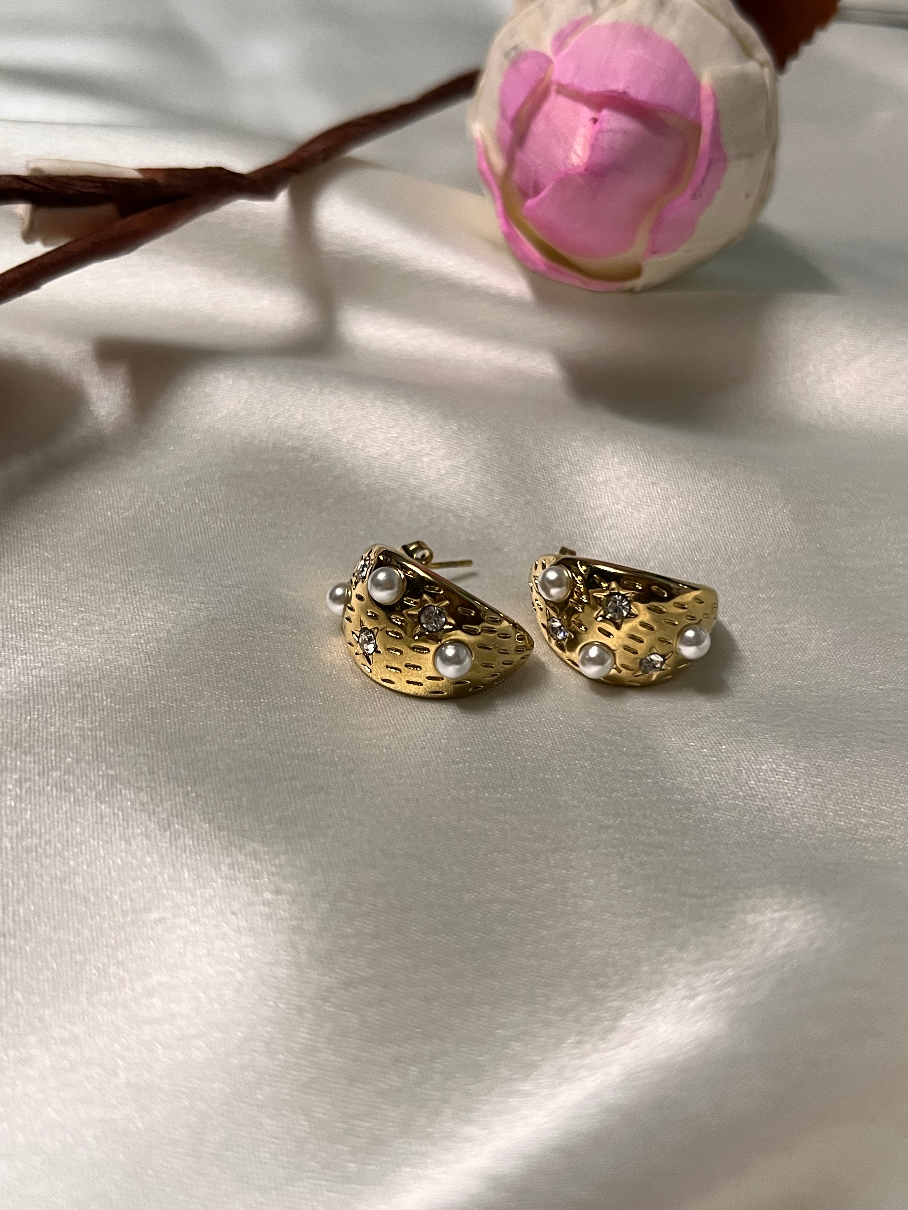 TITÁNIC Anti-Tarnish  Huggies